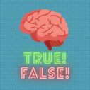 True or false quiz 5 true or false quiz